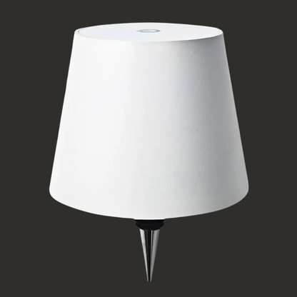 Wireless Wine Bottle Lamp